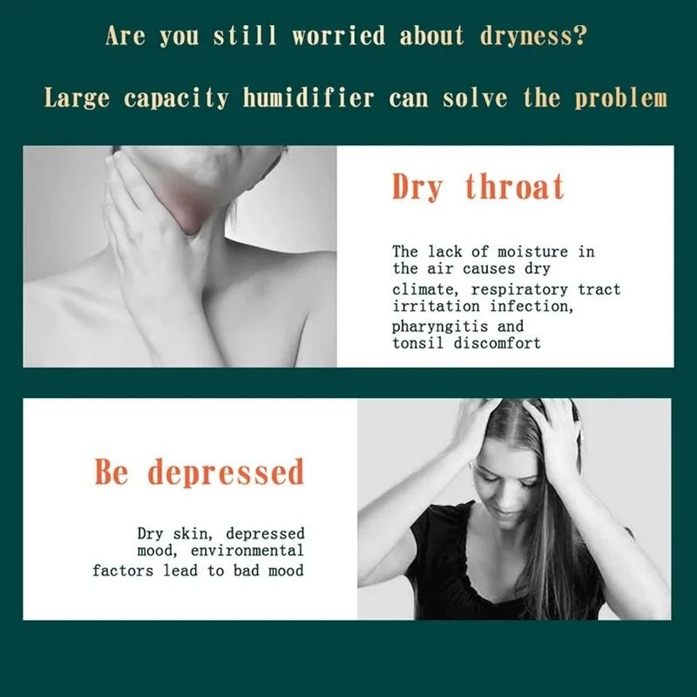 Large Capacity 2L Dual Spray Port Air Humidifier 5