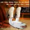 Intelligent 360 Degree Deodorizing Shoe Dryer And Warmer 4