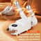 Intelligent 360 Degree Deodorizing Shoe Dryer And Warmer 6