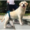 Adjustable Assist Dog Lift Harness 1