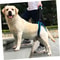 Adjustable Assist Dog Lift Harness 2