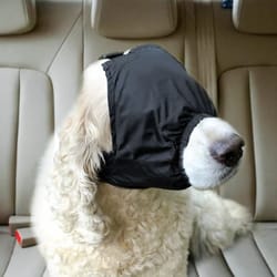 dog calming shading cap