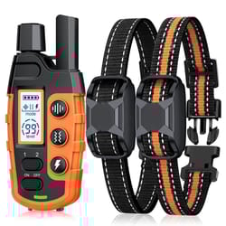 electric dog training collar