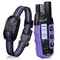Electric Dog Training Collar 8