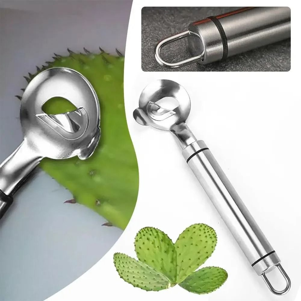 Stainless Steel Cactus Peeler Spoon 0