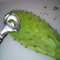 Stainless Steel Cactus Peeler Spoon 2
