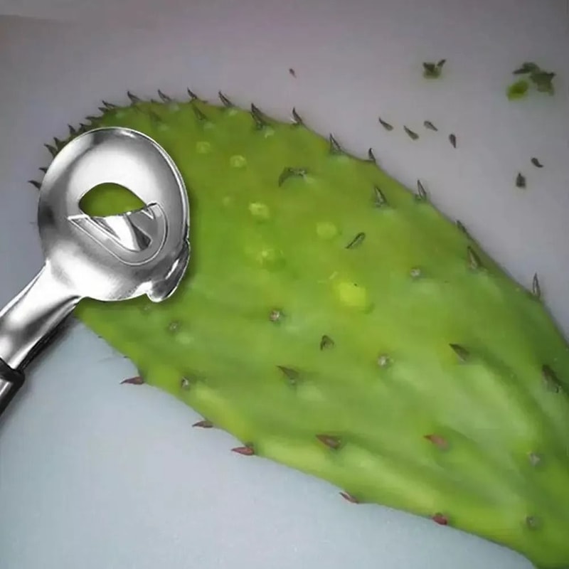 Stainless Steel Cactus Peeler Spoon 2