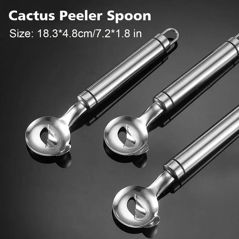Stainless Steel Cactus Peeler Spoon 3