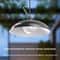 Split Type Dual Head Solar Pendant Light 4
