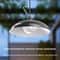 Premium Solar Powered Chandelier Pendant Light 3