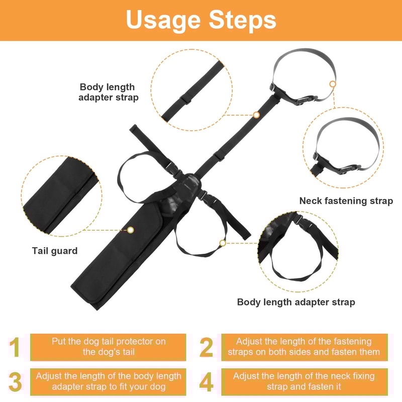 Anatomical Canine Caudal Protection And Recovery Suite 2