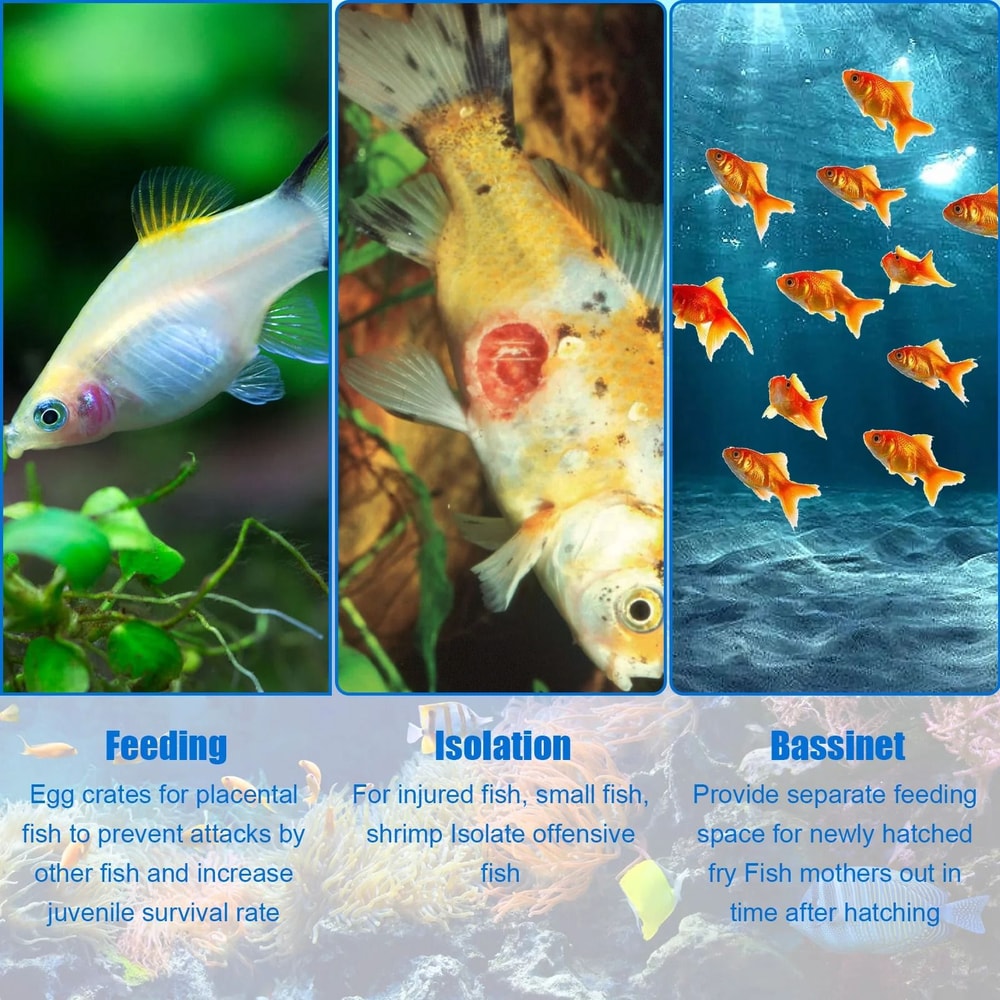 Aquatic Species Isolation And Hatchery Management Habitat 2