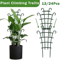 potted plant climbing trellis