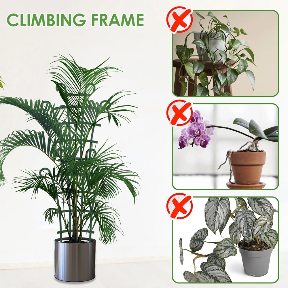 Potted Plant Climbing Trellis 3