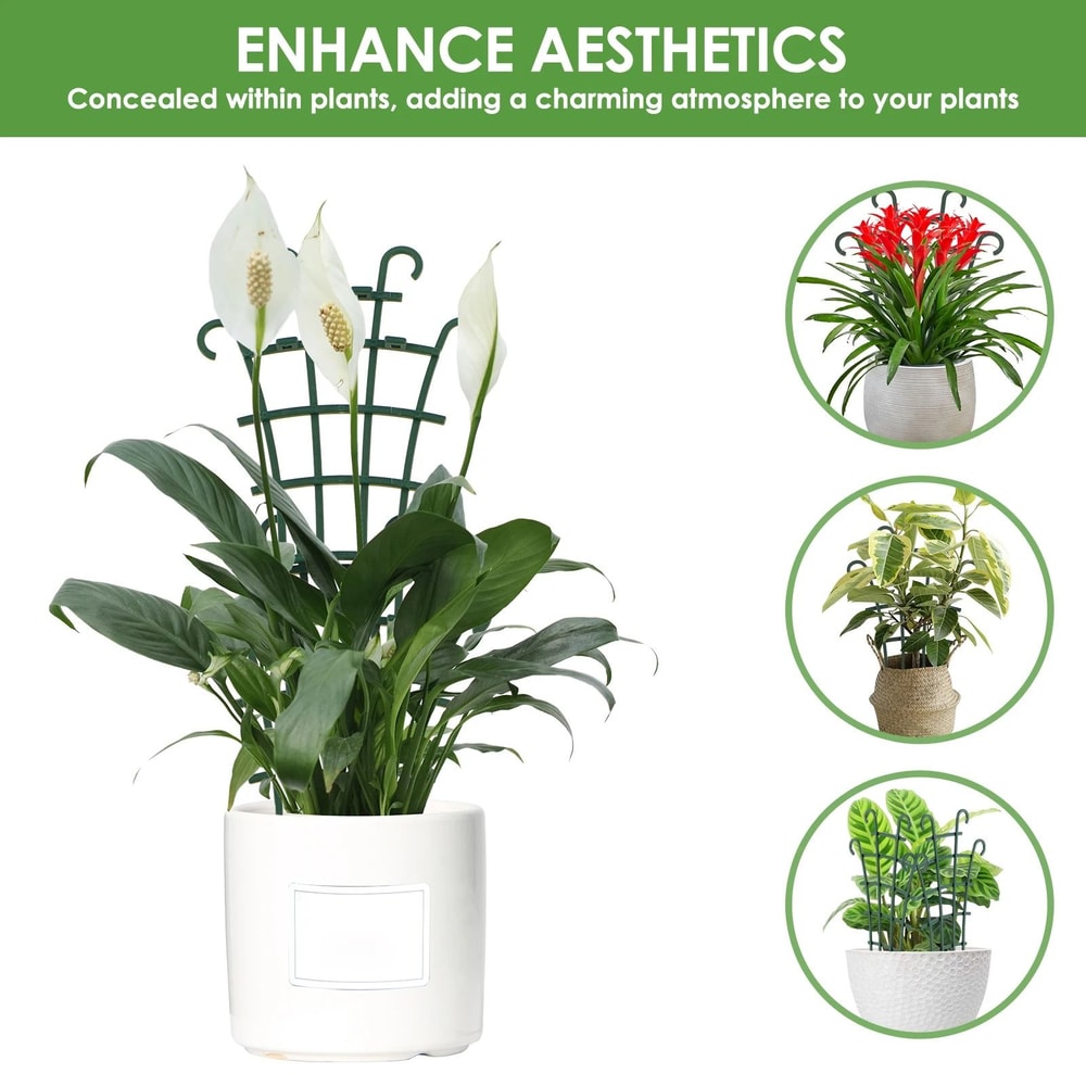 Potted Plant Climbing Trellis 4