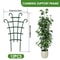 Potted Plant Climbing Trellis 5