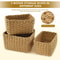 Grass Woven Storage Baskets 1