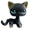 Elite Miniature Feline Collector Series 10