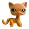 Elite Miniature Feline Collector Series 16