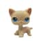Elite Miniature Feline Collector Series 19