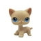 Elite Miniature Feline Collector Series 19