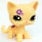 Elite Miniature Feline Collector Series 20