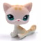 Elite Miniature Feline Collector Series 26