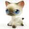 Elite Miniature Feline Collector Series 28