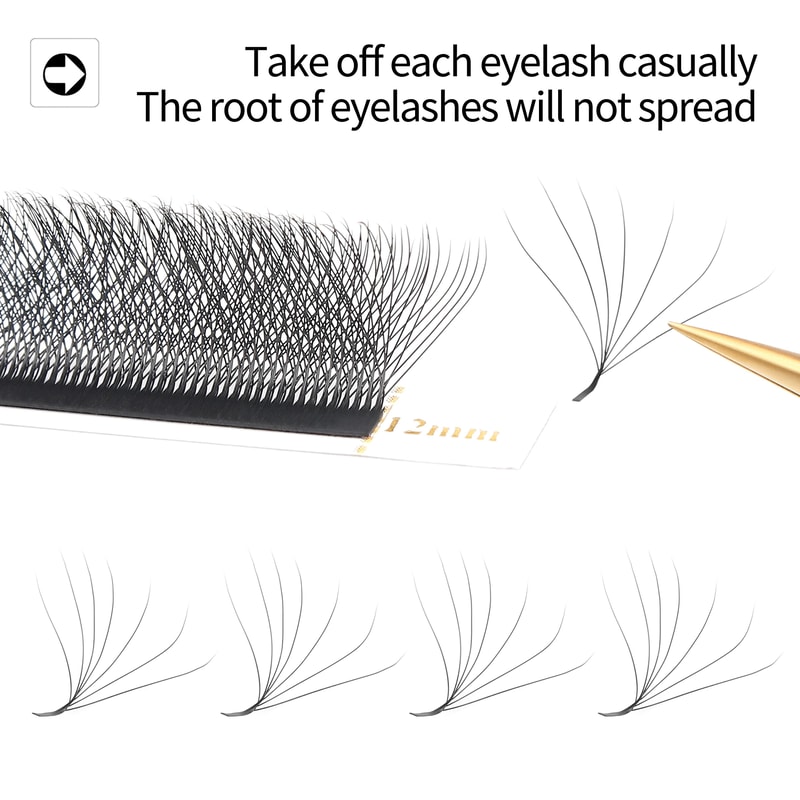 Panoramic Bloom W Series Eyelash Collection 11