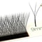 Volumetric Bloom 3D Soft Trident Lash Series 5