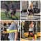 Progressive Tension Resistance Training System 3