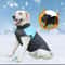 Reflective Winter Pet Sports Hoodie 3