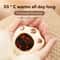 Rechargeable Electric Hand Warmers 2