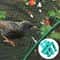 Heavy Duty Garden Bird Protection Netting 4