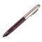 Classic Office Fountain Pen 2