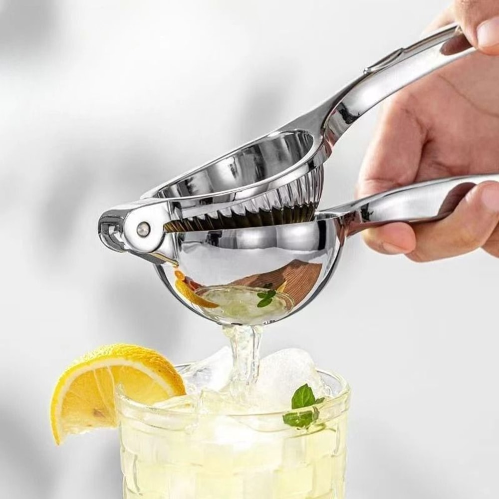 Professional Stainless Steel Manual Fruit Press 1