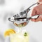 Professional Stainless Steel Manual Fruit Press 1