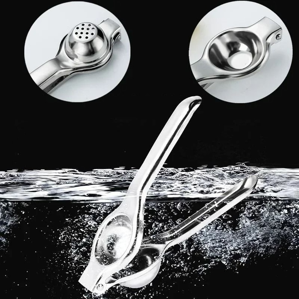 Professional Stainless Steel Manual Fruit Press 3