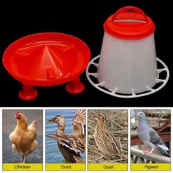 heavy duty automatic poultry feeding system