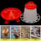 Heavy Duty Automatic Poultry Feeding System 0