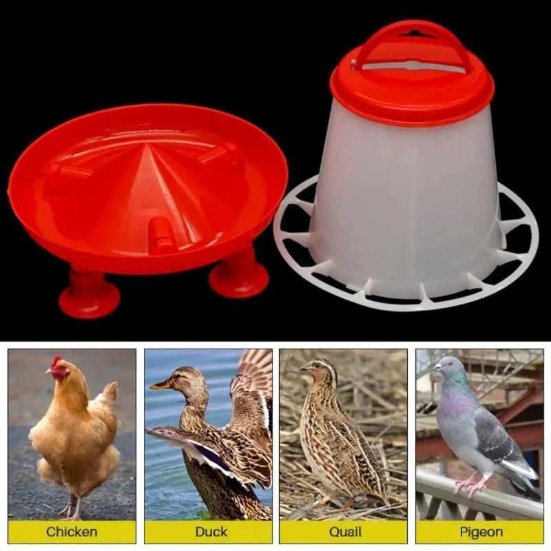 Heavy Duty Automatic Poultry Feeding System 0