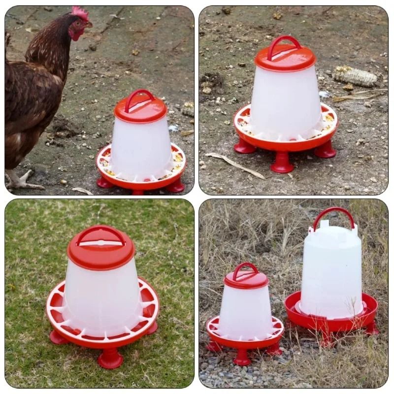 Heavy Duty Automatic Poultry Feeding System 2