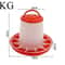 Heavy Duty Automatic Poultry Feeding System 5
