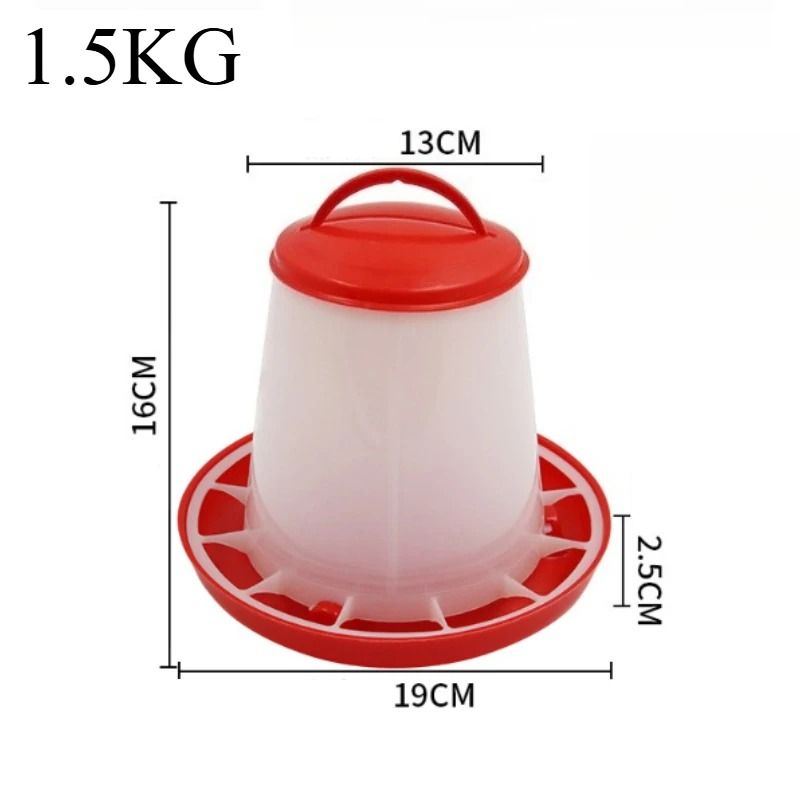 Heavy Duty Automatic Poultry Feeding System 6