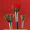 Professional Wild Boar Bristle Fan Brush Collection 3