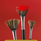 Professional Wild Boar Bristle Fan Brush Collection 3