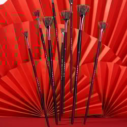 professional wild boar bristle fan brush collection