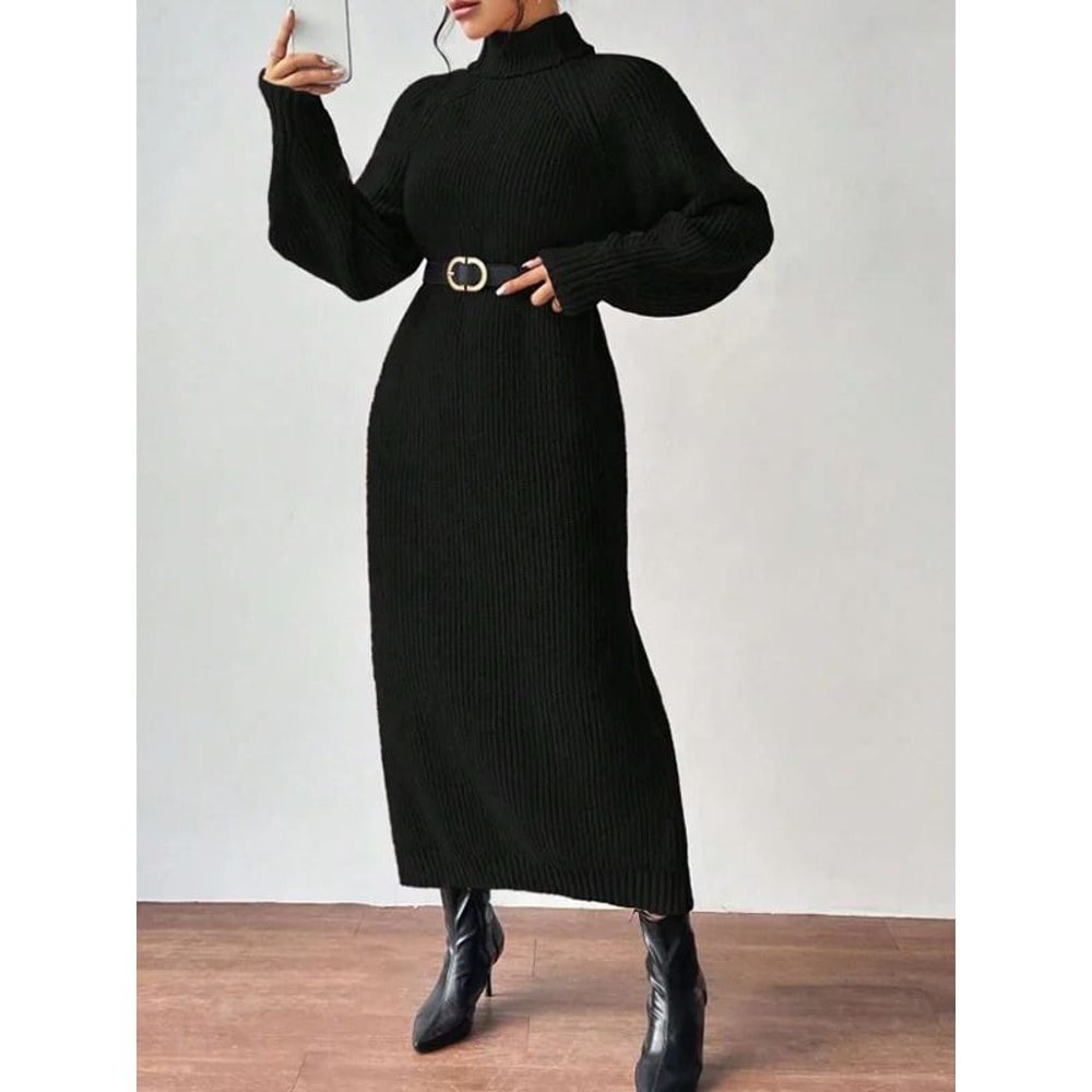 Heavy Gauge Chunky Knit Turtleneck Maxi Dress 9