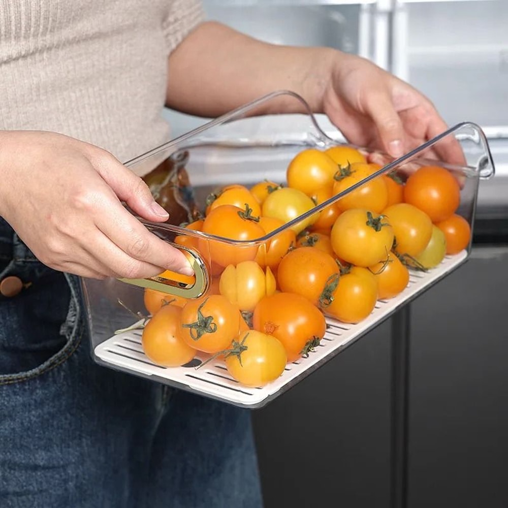 Modular Refrigerator Preservation And Drawer Hub 5