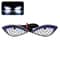 Motorcycle Devil Eyes LED License Plate Lights 14